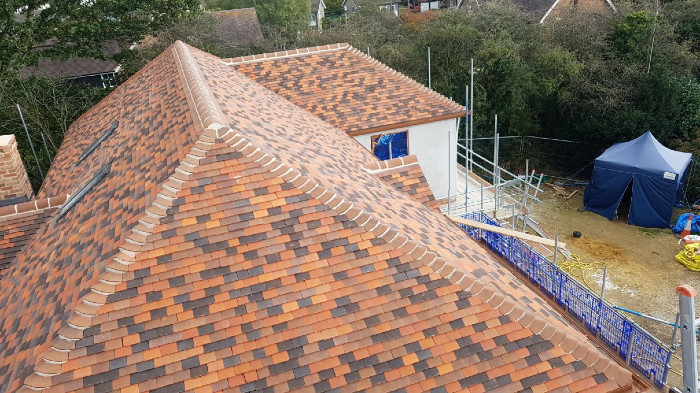 Roof of the Year 2019