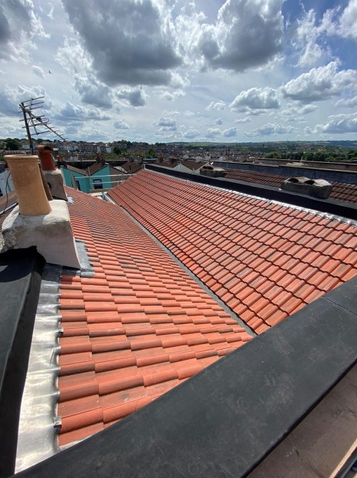 September Winner – Pitch Roof – Green Roofing (Bristol) Limited