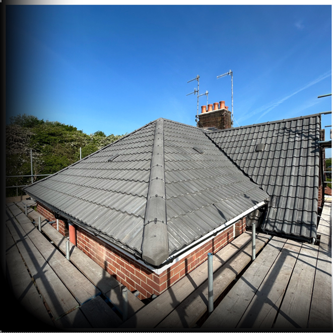 June Winner – Pitch – Green Roofing (Bristol)