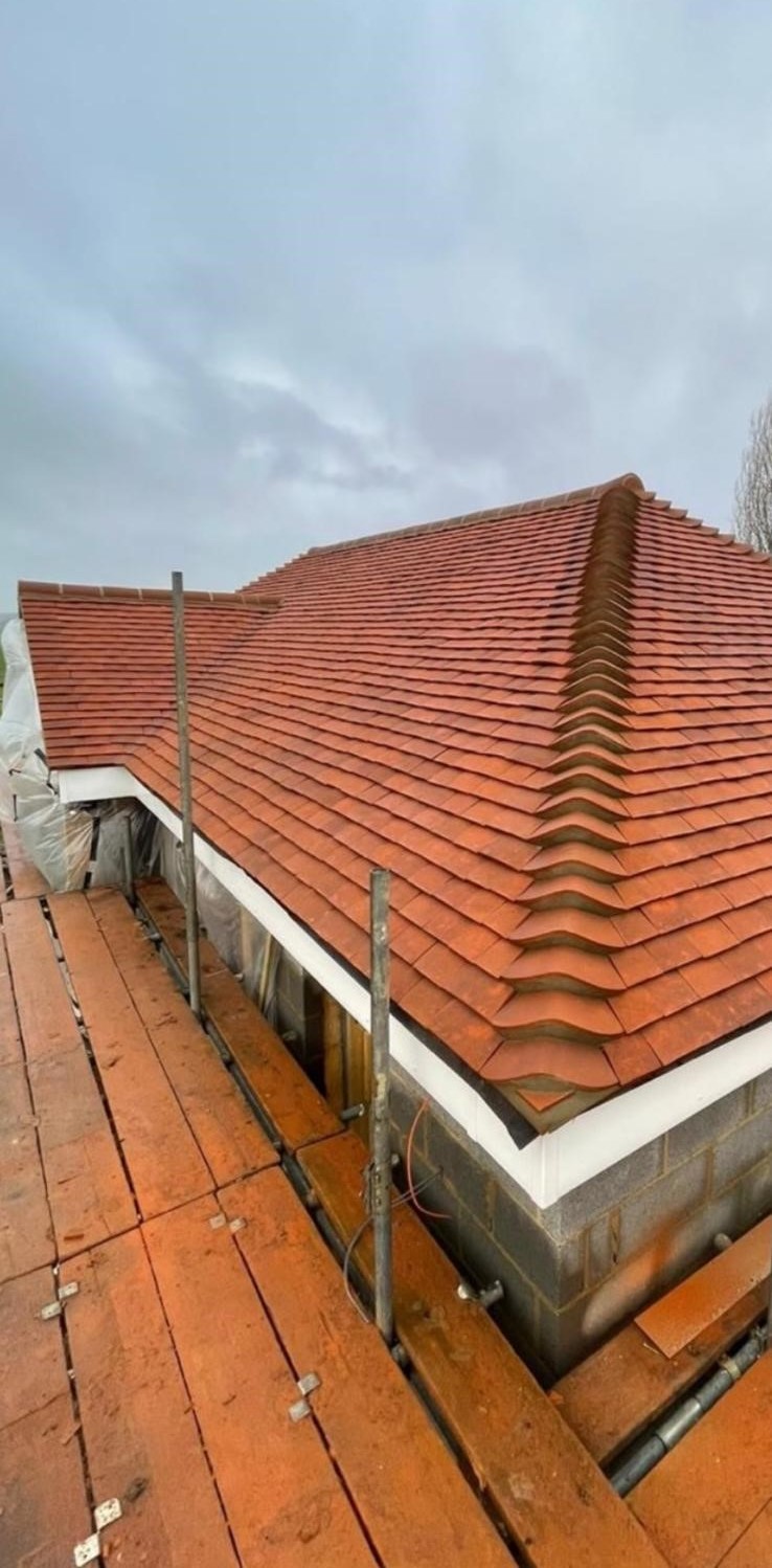 R.P. McWilliams & Co. Ltd – Pitch