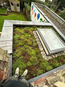 Green Roofing (Bristol) – Other